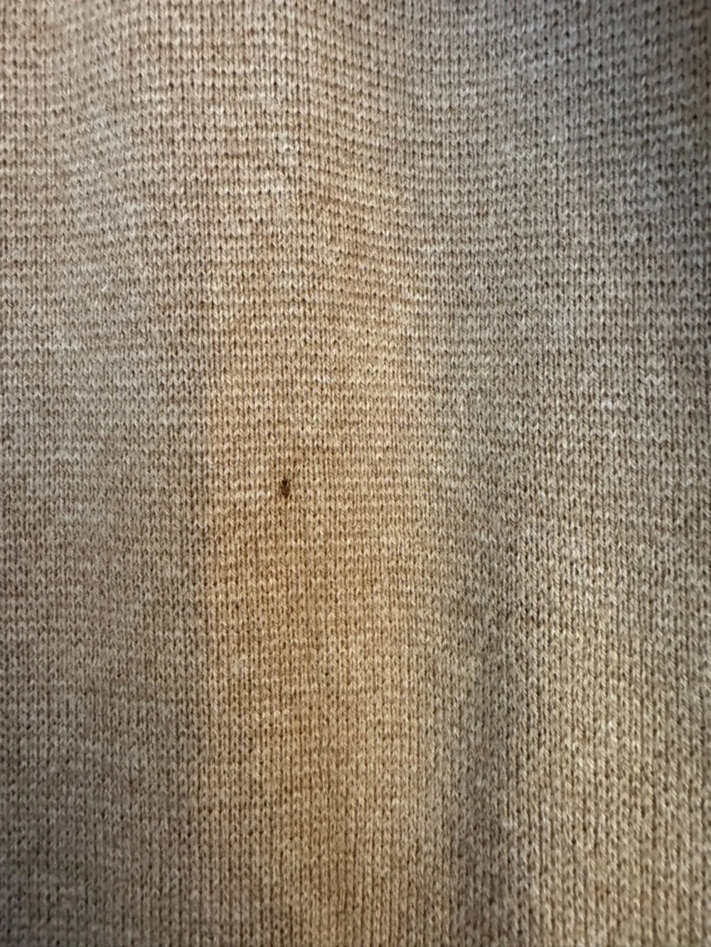 J. Crew Juliette Sweater Blazer (M)
